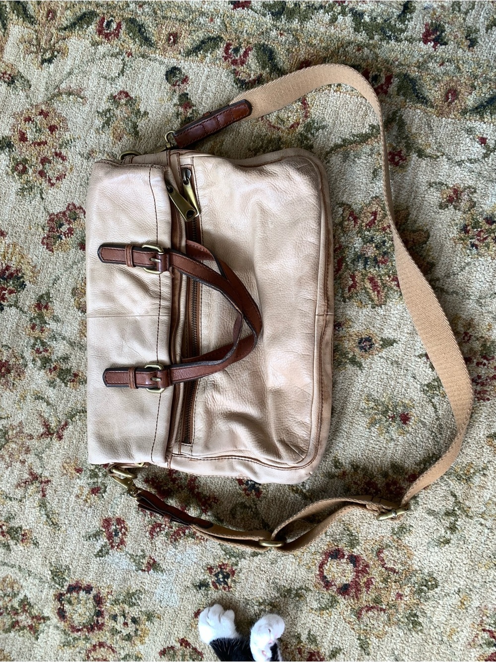 Fossil Explorer Foldover Tote Bag with Brown Trim